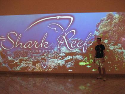 Shark Reef Inside Mandalay Bay