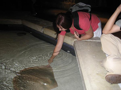 Inside Shark Reef