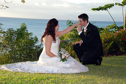 Kneeling Down to Kiss Her Hand