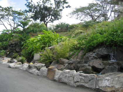 Entrance to Almond Bay